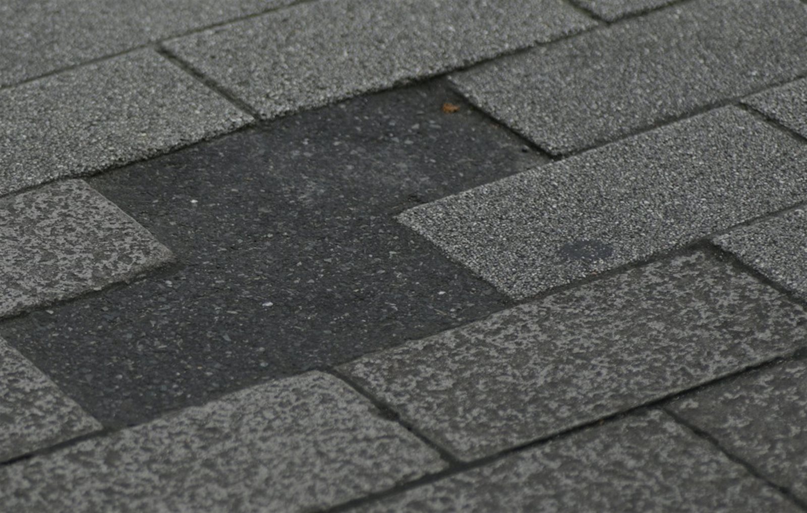 Close-up of a gray asphalt shingle roof with a shingle torn off by wind, exposing the underlayment beneath